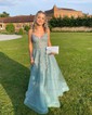 Ball Gown/Princess V-neck Tulle Sweep Train Prom Dresses With Appliques Lace