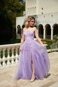 Ball Gown/Princess Floor-length V-neck Tulle Glitter Appliques Lace Prom Dresses