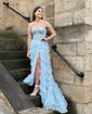 Ball Gown/Princess Off-the-shoulder Tulle Sweep Train Prom Dresses With Appliques Lace