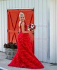 Ball Gown/Princess Off-the-shoulder Tulle Sweep Train Prom Dresses With Appliques Lace