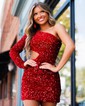 Sparkly Bodycon Sequin One-Shoulder Homecoming Dresses