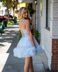 Corset Skater Tulle Ruffle Homecoming Dresses