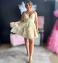 Puffy Skater Tulle Tiered Ruffle Homecoming Dresses