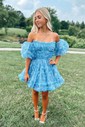 Corset Skater Tulle Ruffle Straight Homecoming Dresses