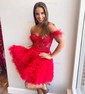 Corset Skater Tulle Feathers Ruffle Homecoming Dresses