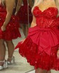 Corset Burgundy Skater Appliques Bow Homecoming Dresses