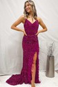 Sheath/Column V-neck Sequined Sweep Train Prom Dresses With Feathers / Fur