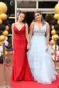 Ball Gown V-neck Tulle Ruffle Tiered Prom Dresses With Appliques