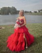 Ball Gown/Princess Sweetheart Tulle Glitter Sweep Train Prom Dresses With Appliques Lace