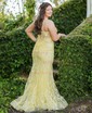 Trumpet/Mermaid V-neck Tulle Sweep Train Prom Dresses With Appliques Lace