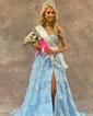 Ball Gown/Princess Off-the-shoulder Tulle Sweep Train Prom Dresses With Appliques Lace