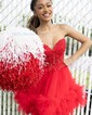 Corset Skater Tulle Ruffle Homecoming Dresses