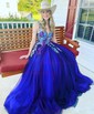 Ball Gown/Princess Floor-length V-neck Tulle Appliques Lace Prom Dresses