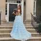 Ball Gown Straight Tulle Sweep Train Prom Dresses With Appliques Lace