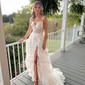 Ball Gown/Princess V-neck Tulle Sweep Train Prom Dresses With Appliques Lace