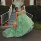 Ball Gown/Princess V-neck Organza Sweep Train Prom Dresses With Appliques Lace