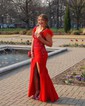 Trumpet/Mermaid Off-the-shoulder Stretch Crepe Sweep Train Prom Dresses With Appliques Lace