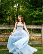 Ball Gown/Princess Sweetheart Tulle Sweep Train Prom Dresses With Appliques Lace