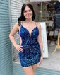 Sparkly Royal Blue Bodycon Sequin Homecoming Dresses