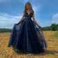 Ball Gown/Princess Sweep Train V-neck Tulle Appliques Lace Prom Dresses