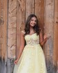 Sheath/Column Sweetheart Tulle Sweep Train Appliques Lace Prom Dresses