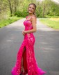 Trumpet/Mermaid Off-the-shoulder Tulle Sweep Train Prom Dresses With Appliques Lace