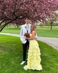 A-line Sweetheart Chiffon Sweep Train Prom Dresses With Appliques Lace